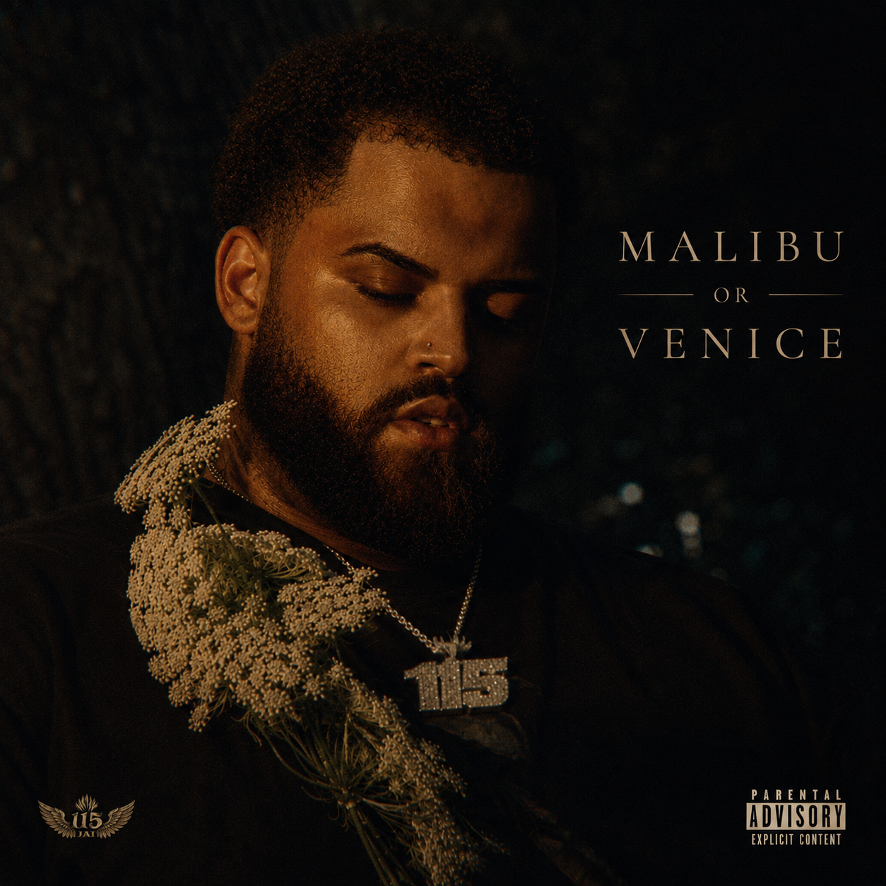 Official cover artwork for 115Jai's Malibu or Venice