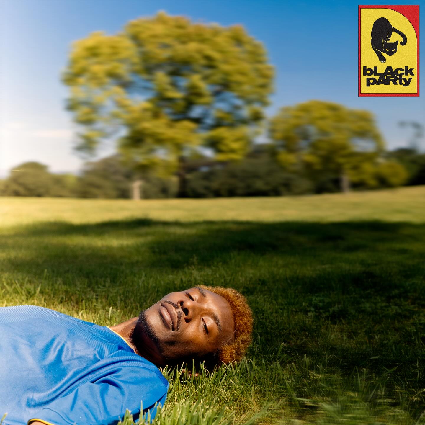bLAck pARty reclining in a grassy field beneath a tree